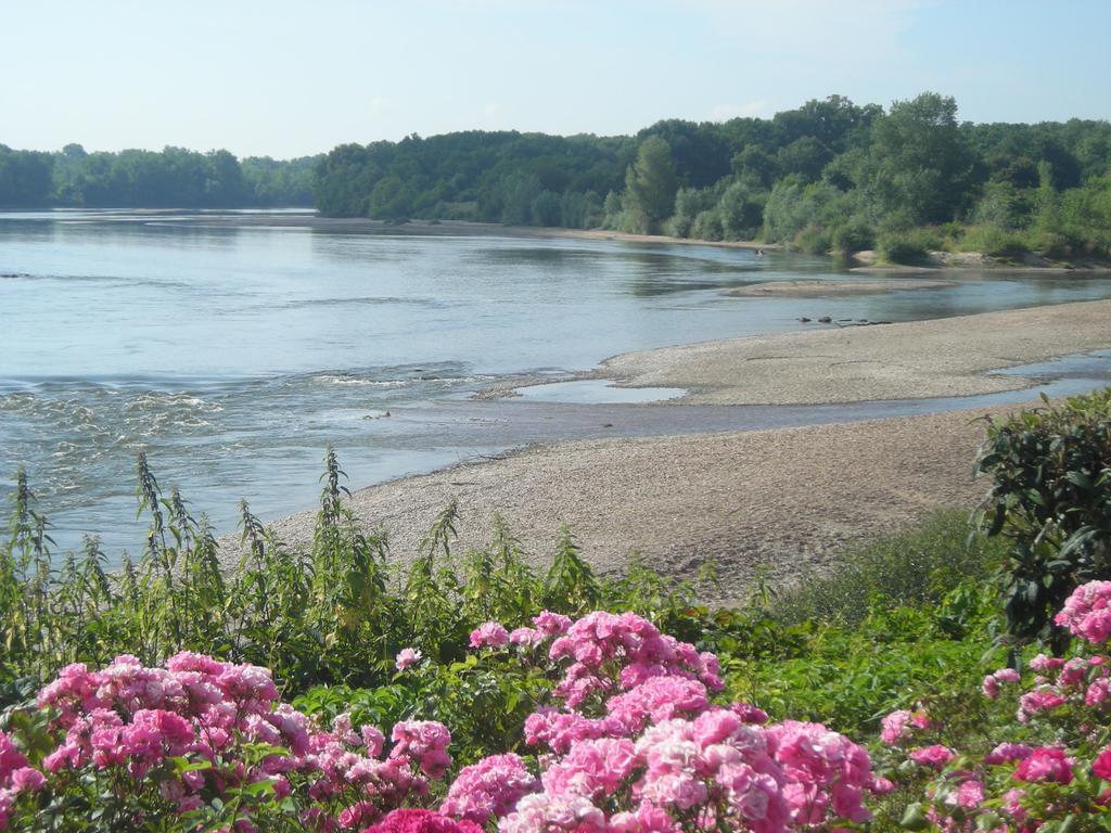 Hotel De La Loire Saint-Satur Bagian luar foto