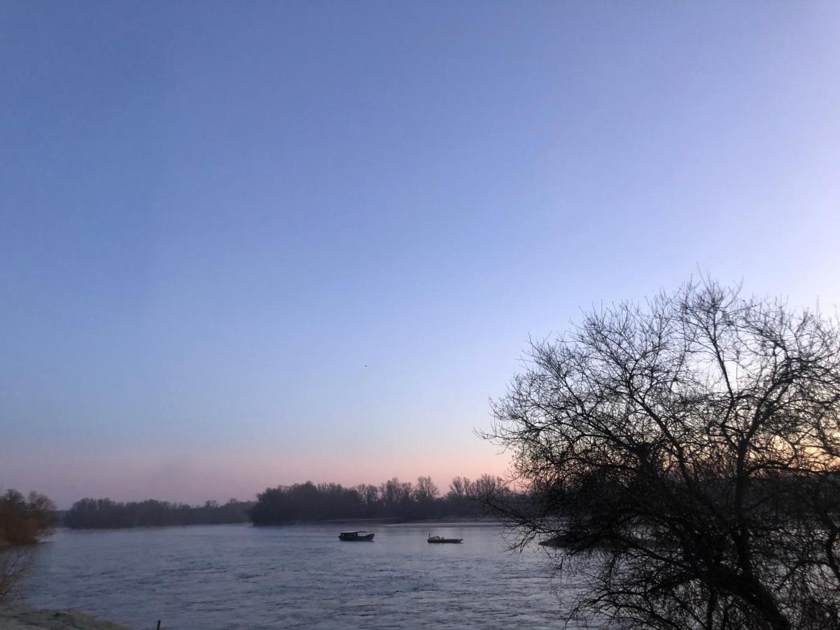 Hotel De La Loire Saint-Satur Bagian luar foto